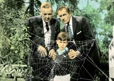 ©1958 Twentieth Century Fox Film Corporation - La mouche noire (The Fly)