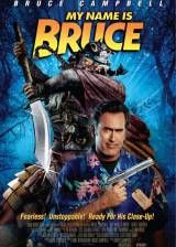 My Name Is Bruce