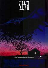 Miniature d'affiche américaine de 'La Nuit des chauves-souris'