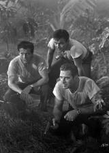 ©1957 Universal - L'oasis des tempêtes (The Land Unknown)