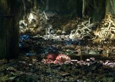 ©2009 SND - Pandorum (Pandorum)