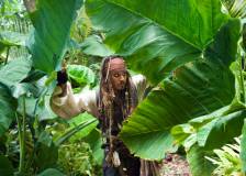 ©2010 Disney Enterprises, Inc - Pirates des Caraïbes : la fontaine de jouvence (Pirates of the Caribbean: On Stranger Tides)