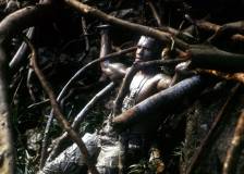 ©1987 20th Century Fox - Predator (Predator)
