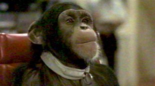 Virgil - Projet X (Project X)