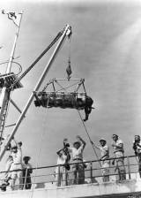 ©1955 Universal International Pictures - La revanche de la créature (Revenge of the Creature)