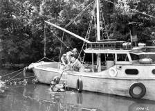©1955 Universal International Pictures - La revanche de la créature (Revenge of the Creature)