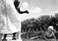 ©1955 Universal International Pictures - La revanche de la créature (Revenge of the Creature)