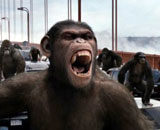 Icône pour lancer la bande-annonce n°1 de 'La planète des singes : les origines'