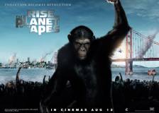 Miniature d'affiche britannique de 'La planète des singes : les origines'