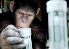 ©2011 20th Century Fox - La planète des singes : les origines (Rise of the Planet of the Apes)