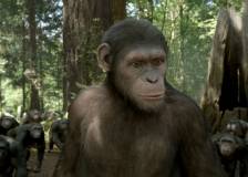 ©2011 20th Century Fox - La planète des singes : les origines (Rise of the Planet of the Apes)