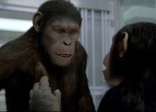 ©2011 20th Century Fox - La planète des singes : les origines (Rise of the Planet of the Apes)