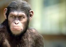 ©2011 20th Century Fox - La planète des singes : les origines (Rise of the Planet of the Apes)
