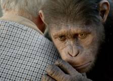©2011 20th Century Fox - La planète des singes : les origines (Rise of the Planet of the Apes)