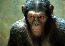 ©2011 20th Century Fox - La planète des singes : les origines (Rise of the Planet of the Apes)