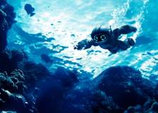 ©2013 Arad Productions - Robosapien: Rebooted (Robosapien: Rebooted)