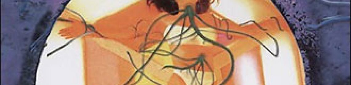 Sex Files: Alien Erotica