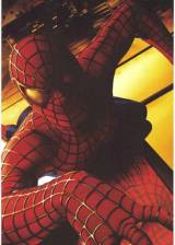 Miniature d'affiche française de 'Spider-Man'