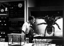 ©1955 Universal International Pictures (UI) - Tarantula (Tarantula)