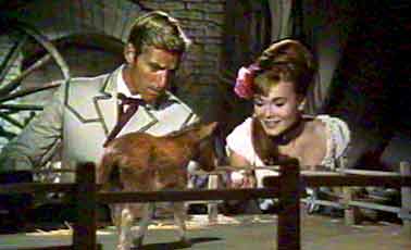 Diane montre à Kirby sa nouvelle découverte - La vallée de Gwangi (The Valley of Gwangi)