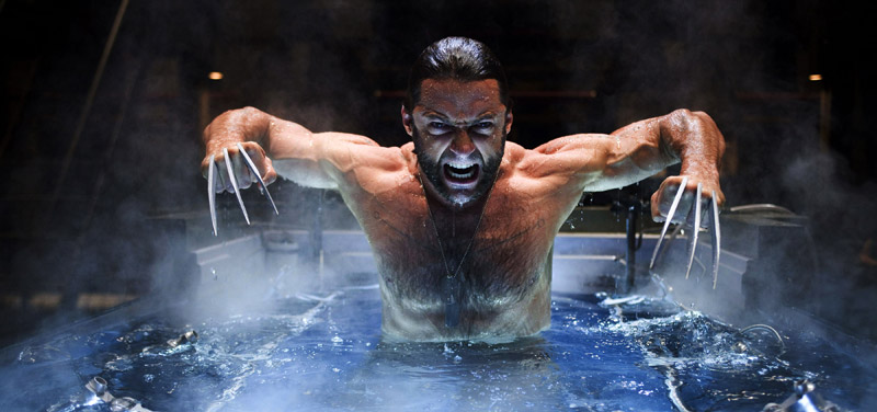 Wolverine - X-Men Origins : Wolverine (X-Men Origins: Wolverine)