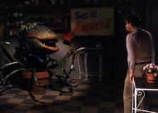 ©1986 Geffen Company, The - La petite boutique des horreurs (Little Shop of Horrors)