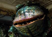 ©1986 Geffen Company, The - La petite boutique des horreurs (Little Shop of Horrors)