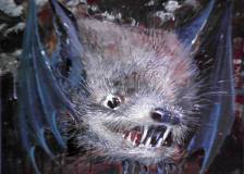 ©1969 Universal TV - Night Gallery (Night Gallery)