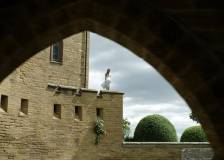 ©2017 20th Century Fox - A Cure for Life (A Cure for Wellness)