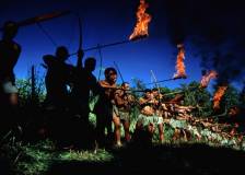 ©2001 FWP Productions - Flying Virus : Les Abeilles meurtrières (Flying Virus)