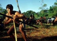 ©2001 FWP Productions - Flying Virus : Les Abeilles meurtrières (Flying Virus)