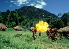 ©2001 FWP Productions - Flying Virus : Les Abeilles meurtrières (Flying Virus)