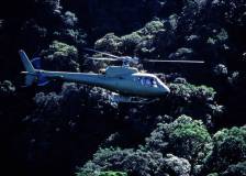 ©2001 FWP Productions - Flying Virus : Les Abeilles meurtrières (Flying Virus)