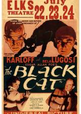 Miniature d'affiche américaine de 'Le chat noir'