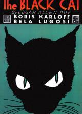 Miniature d'affiche américaine de 'Le chat noir'
