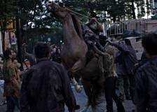 ©2010 AMC Studios - The Walking Dead (The Walking Dead)