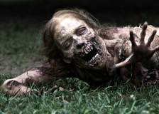 ©2010 AMC Studios - The Walking Dead (The Walking Dead)