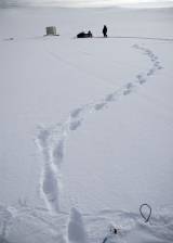 © 2006 Antidote Films - The Last Winter (The Last Winter)