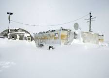 © 2006 Antidote Films - The Last Winter (The Last Winter)