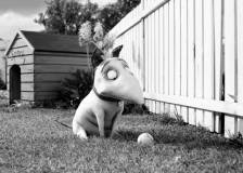 ©2012 Walt Disney Pictures - Frankenweenie (Frankenweenie)