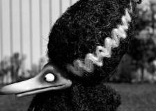 ©2012 Walt Disney Pictures - Frankenweenie (Frankenweenie)