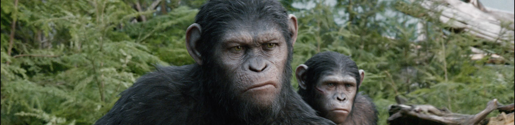La Planète des Singes : l'affrontement