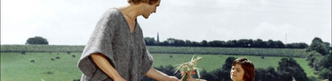 La merveilleuse visite