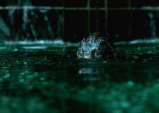 ©2017 Fox Searchlight Pictures - La Forme de l'eau (The Shape of Water)