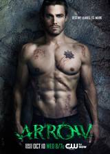 Us poster thumbnail from 'Arrow'