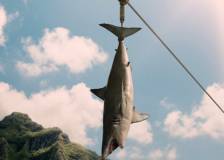 ©2014 Universal Pictures - Jurassic World (Jurassic World)