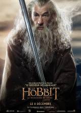 Miniature d'affiche française de 'Le Hobbit : la désolation de Smaug'
