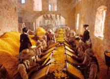 ©2006 Constantin Film Produktion - Le parfum - Histoire d'un meurtrier (Perfume: The Story of a Murderer)