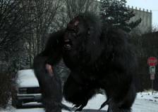 ©2012 The Asylum - Bigfoot (Bigfoot)