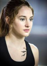 © 2013 Red Wagon Entertainment - Divergente (Divergent)